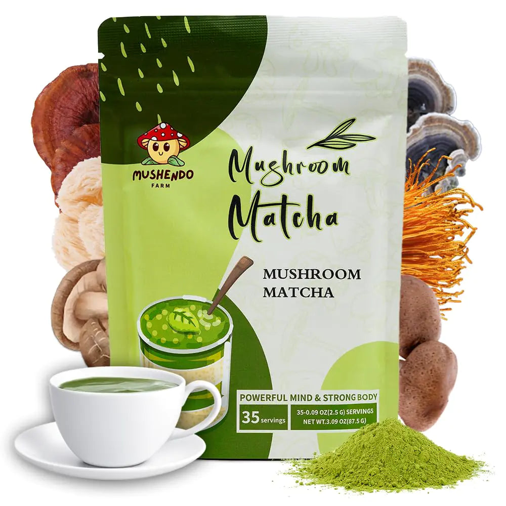 Mushendo 6 Mushroom Matcha: LionS Mane Cordyceps Turkey Tail Shiitake Reishi & King Trumpet - 35 Servings - 3.09 oz
